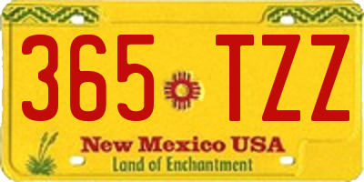 NM license plate 365TZZ