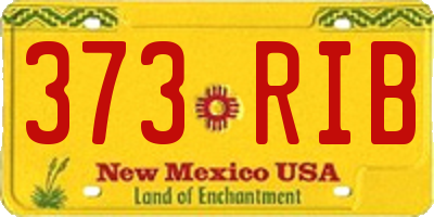 NM license plate 373RIB