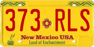 NM license plate 373RLS