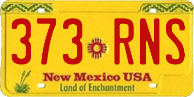 NM license plate 373RNS