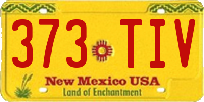 NM license plate 373TIV