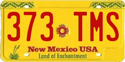 NM license plate 373TMS