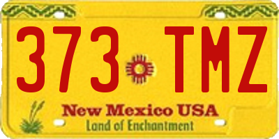 NM license plate 373TMZ