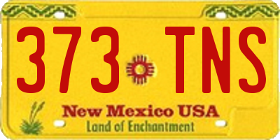 NM license plate 373TNS