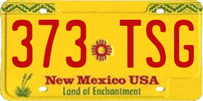 NM license plate 373TSG