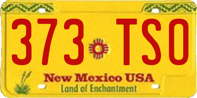 NM license plate 373TSO