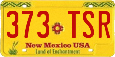 NM license plate 373TSR