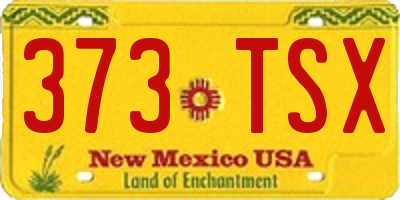 NM license plate 373TSX