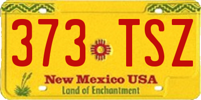 NM license plate 373TSZ