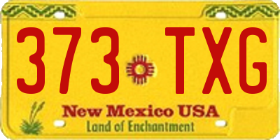 NM license plate 373TXG