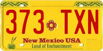 NM license plate 373TXN