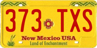 NM license plate 373TXS