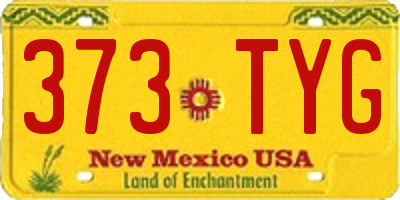 NM license plate 373TYG