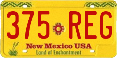 NM license plate 375REG