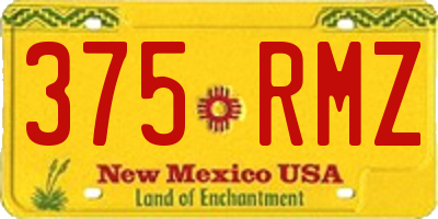 NM license plate 375RMZ