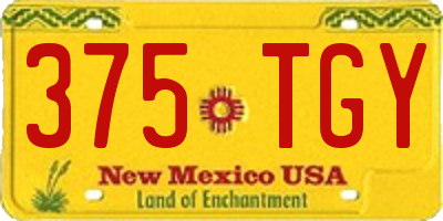 NM license plate 375TGY