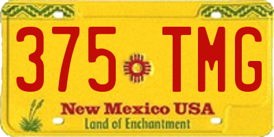 NM license plate 375TMG