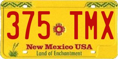 NM license plate 375TMX