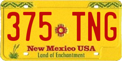 NM license plate 375TNG