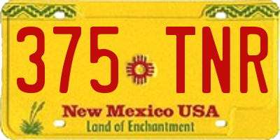 NM license plate 375TNR