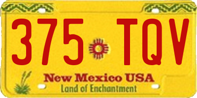 NM license plate 375TQV
