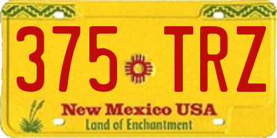 NM license plate 375TRZ