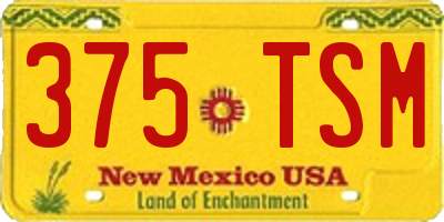NM license plate 375TSM