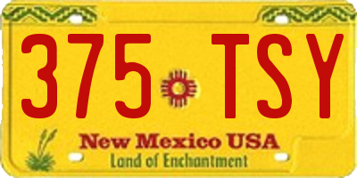 NM license plate 375TSY
