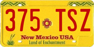 NM license plate 375TSZ