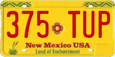 NM license plate 375TUP