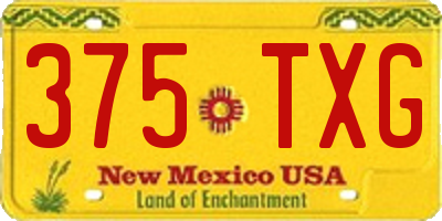 NM license plate 375TXG