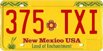 NM license plate 375TXI
