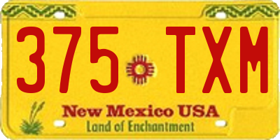 NM license plate 375TXM