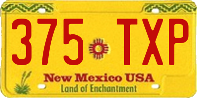 NM license plate 375TXP