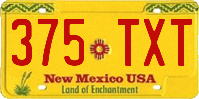 NM license plate 375TXT