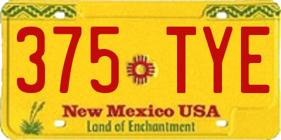 NM license plate 375TYE
