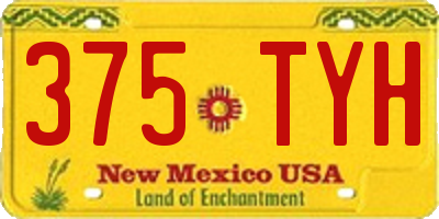 NM license plate 375TYH