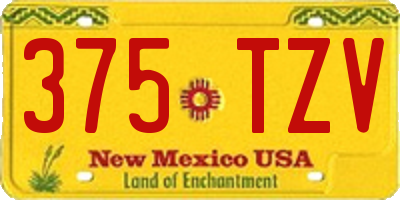 NM license plate 375TZV