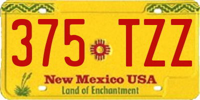 NM license plate 375TZZ