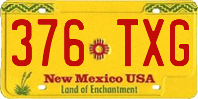 NM license plate 376TXG