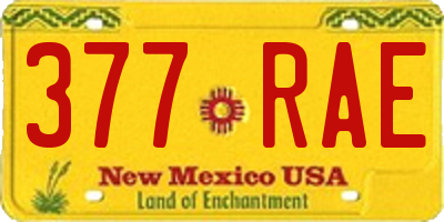 NM license plate 377RAE