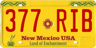NM license plate 377RIB