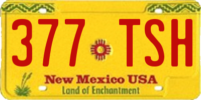 NM license plate 377TSH