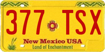 NM license plate 377TSX