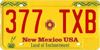 NM license plate 377TXB