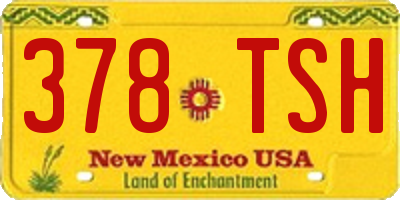 NM license plate 378TSH