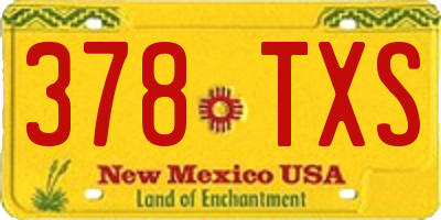 NM license plate 378TXS