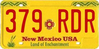 NM license plate 379RDR