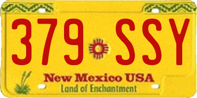 NM license plate 379SSY