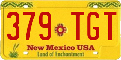 NM license plate 379TGT